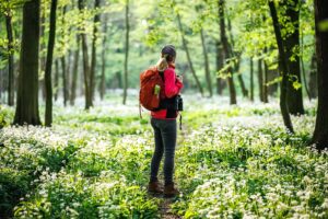 nature walk